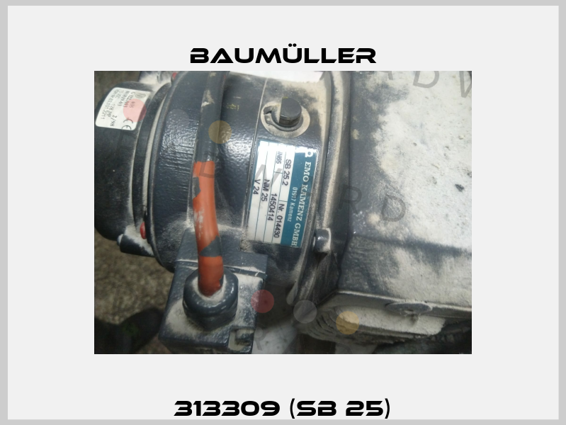 313309 (SB 25) Baumüller