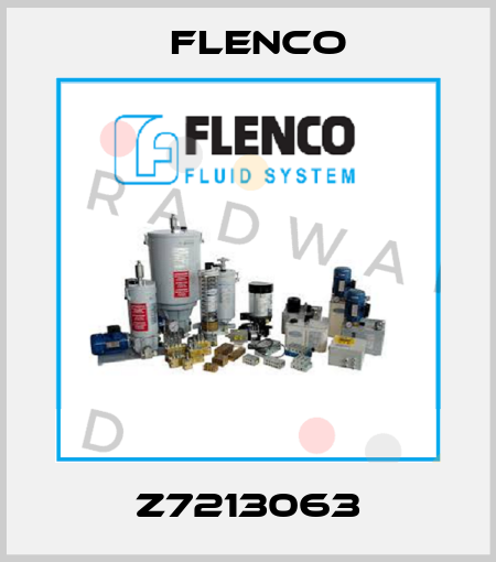 Z7213063 Flenco