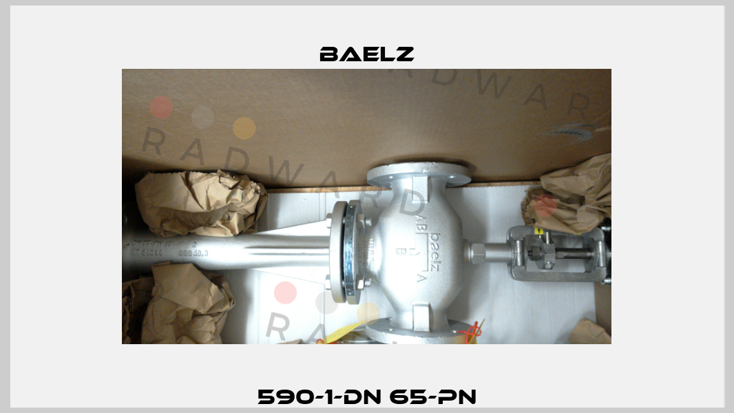 590-1-DN 65-PN Baelz