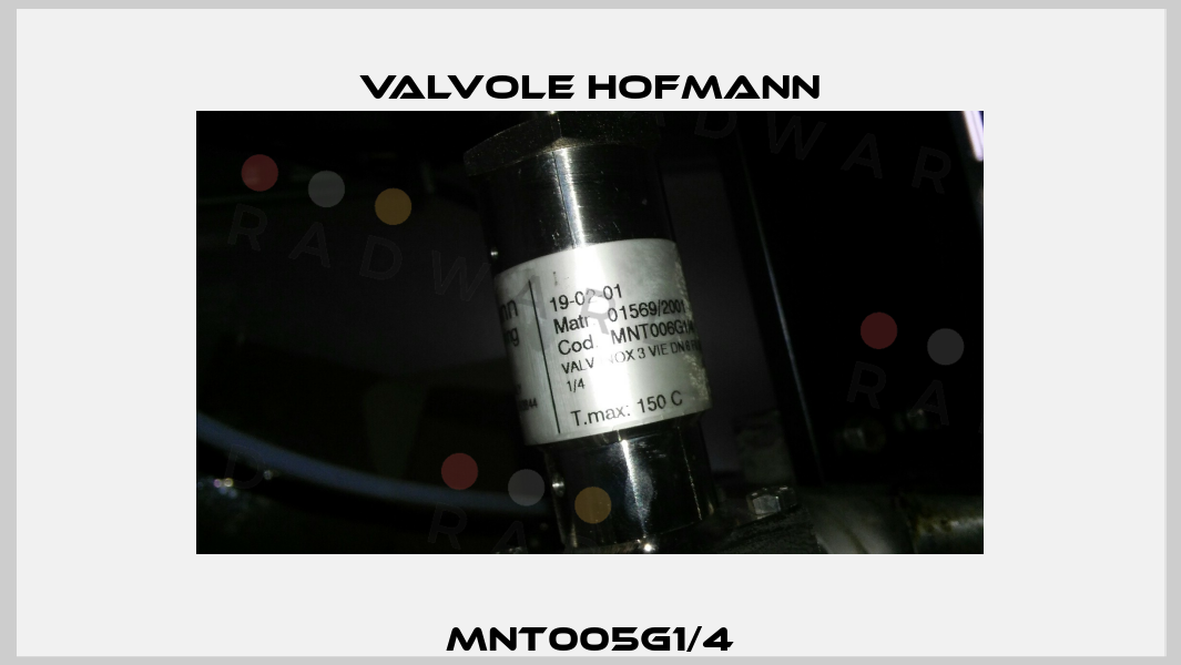 MNT005G1/4 Valvole Hofmann