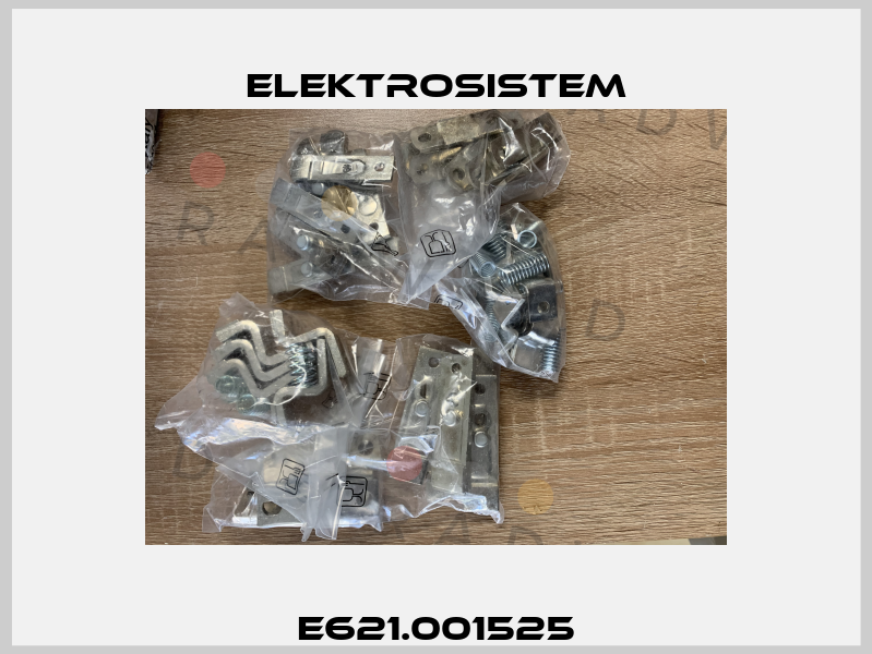 E621.001525 Elektrosistem