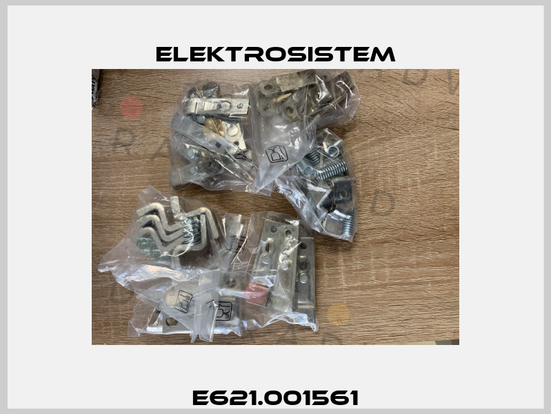 E621.001561 Elektrosistem