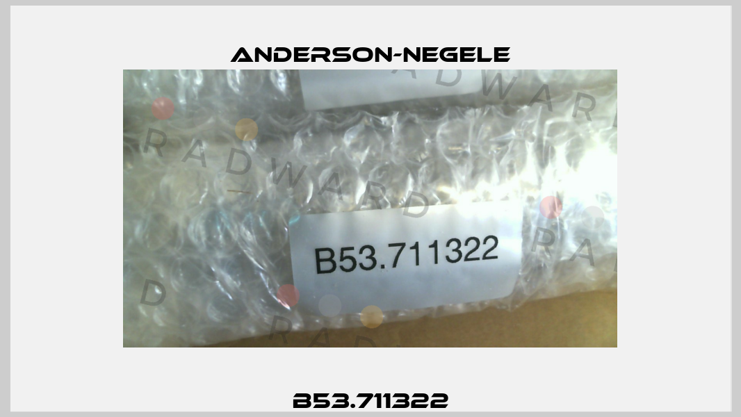 B53.711322 Anderson-Negele