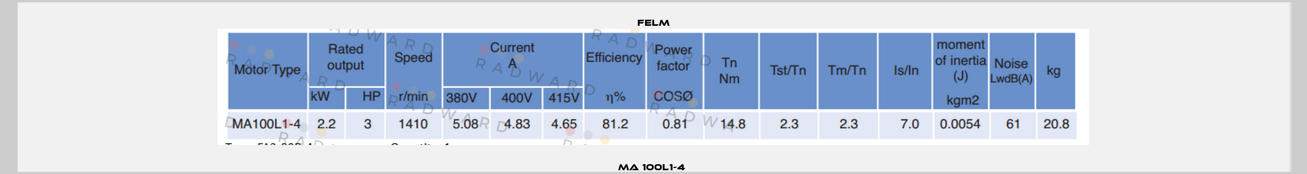 MA 100L1-4  Felm