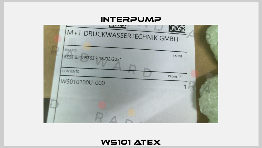 WS101 ATEX Interpump