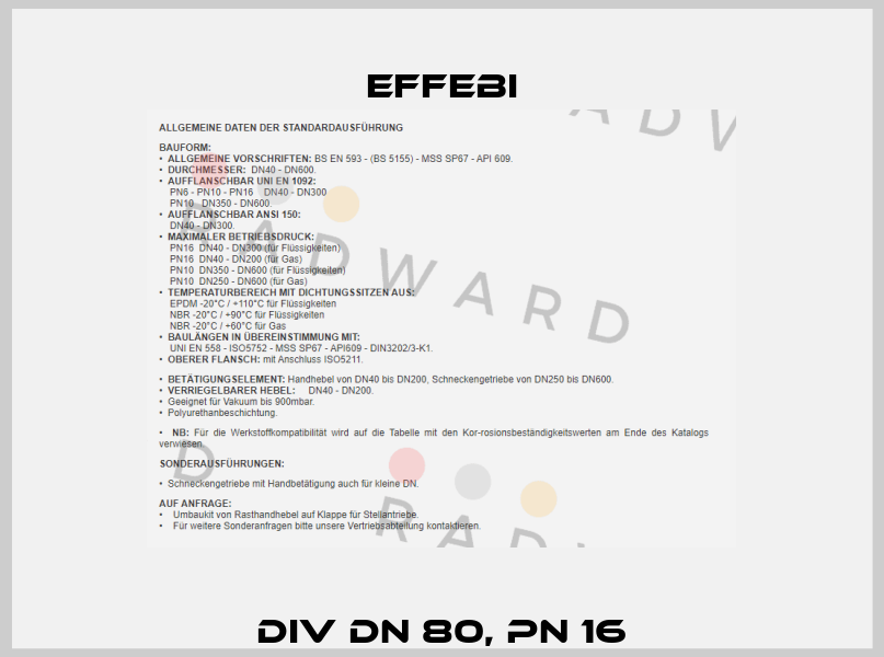 DIV DN 80, PN 16 Effebi
