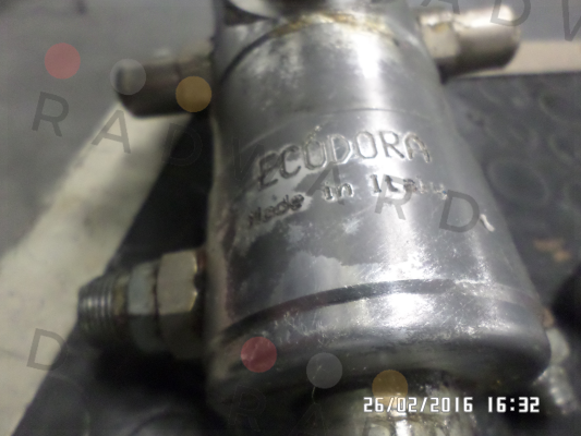 8823 Ecodora (Raasm)