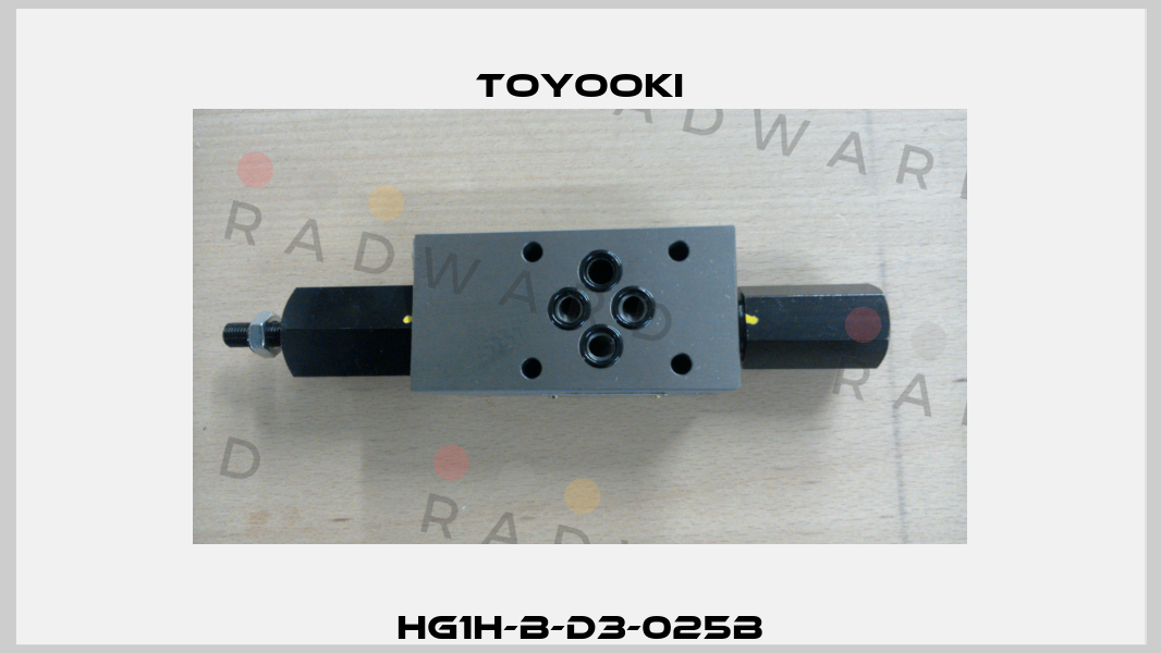 HG1H-B-D3-025B Toyooki
