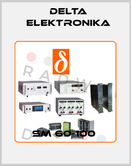 SM 60-100  Delta Elektronika