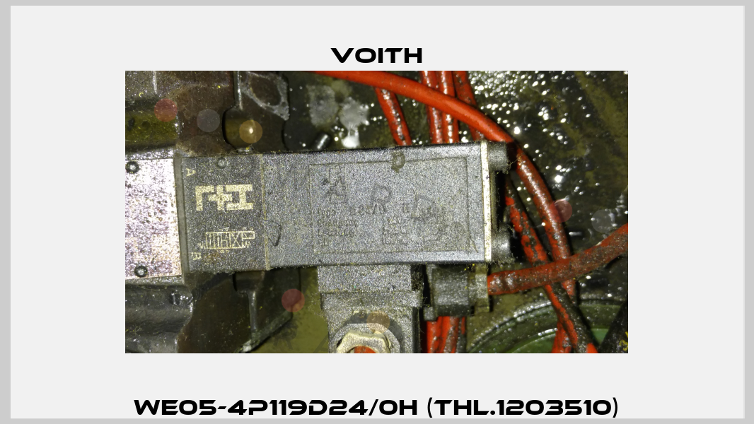 WE05-4P119D24/0H (THL.1203510) Voith