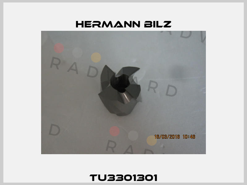 TU3301301 Hermann Bilz