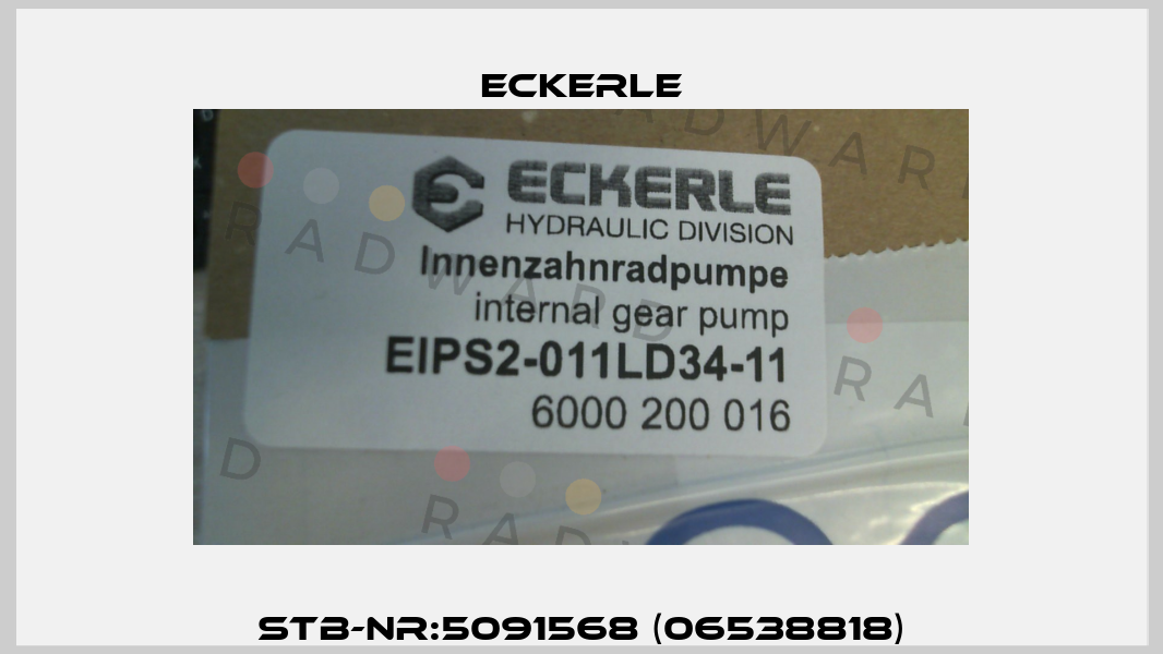 STB-NR:5091568 (06538818) Eckerle