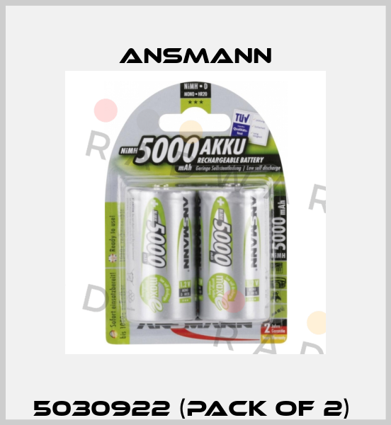 5030922 (pack of 2)  Ansmann