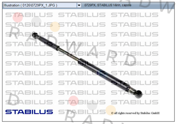 0729PX Stabilus
