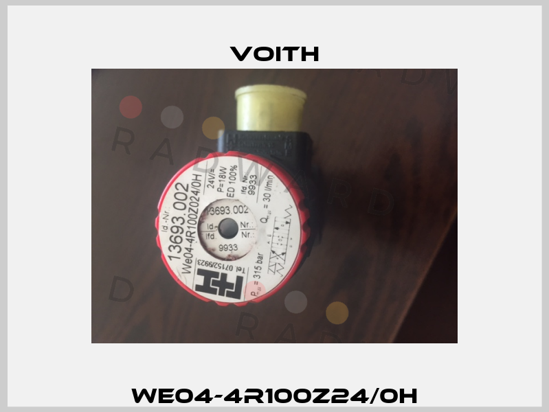WE04-4R100Z24/0H Voith