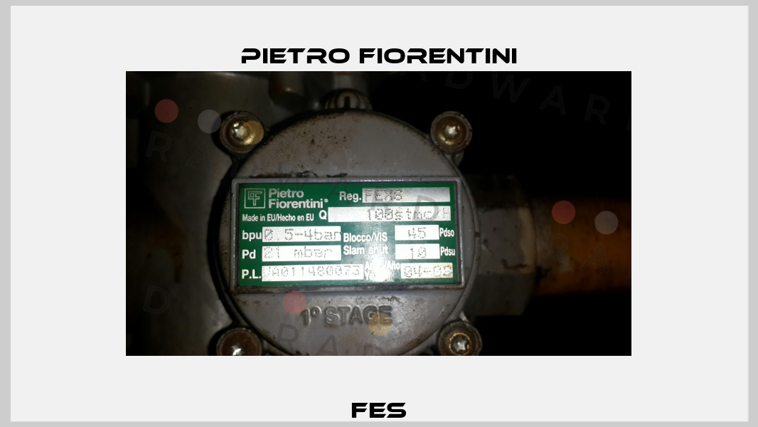 FES Pietro Fiorentini