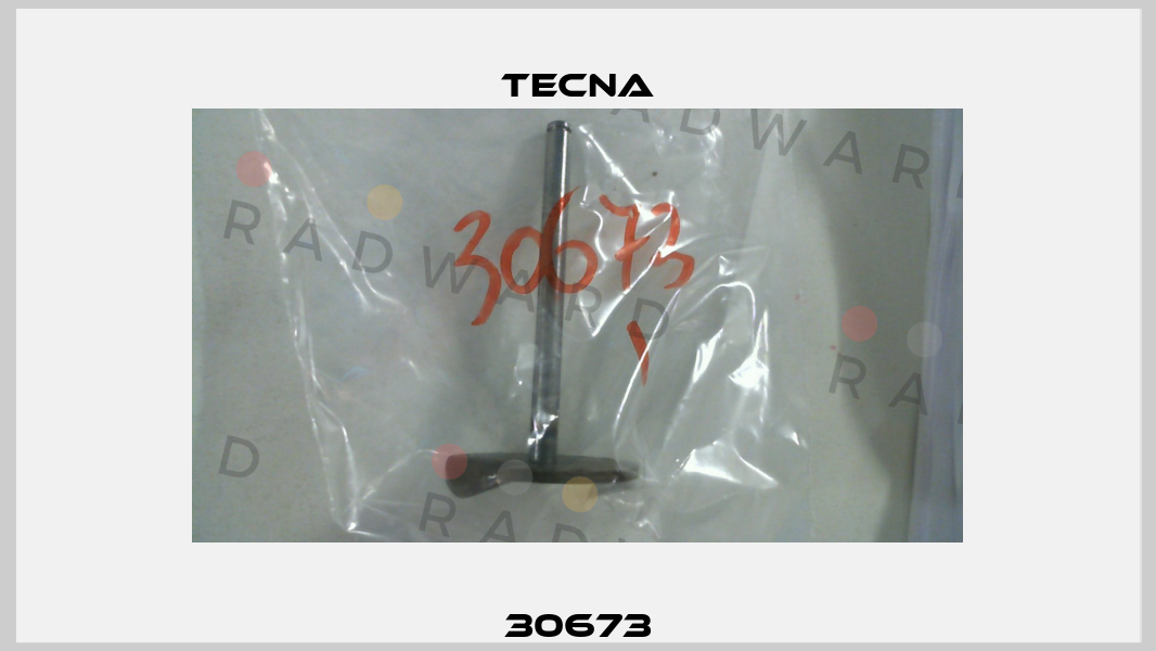 30673 Tecna