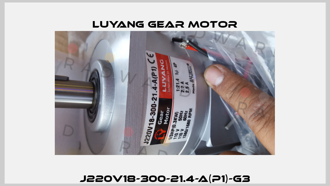J220V18-300-21.4-A(P1)-G3 Luyang Gear Motor