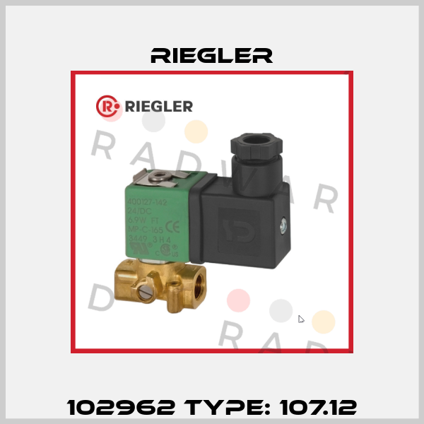102962 Type: 107.12 Riegler