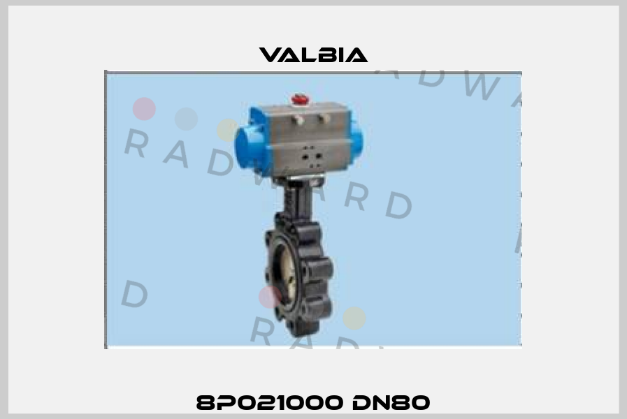8P021000 DN80 Valbia
