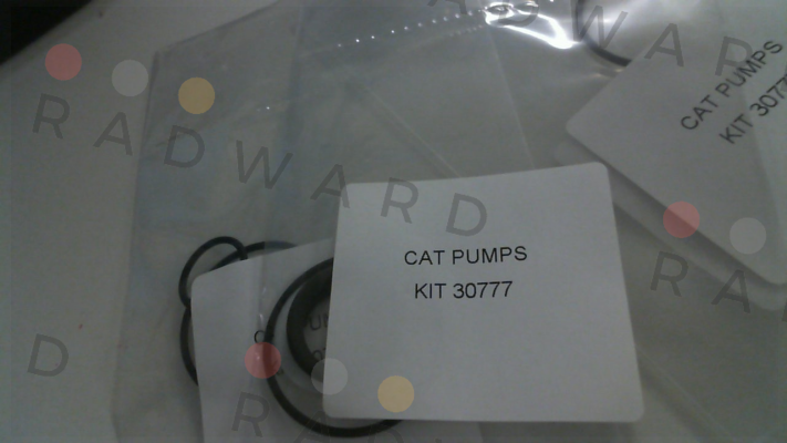 30777 Cat Pumps