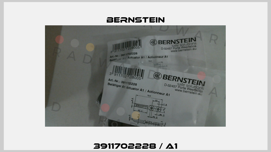 3911702228 / A1 Bernstein