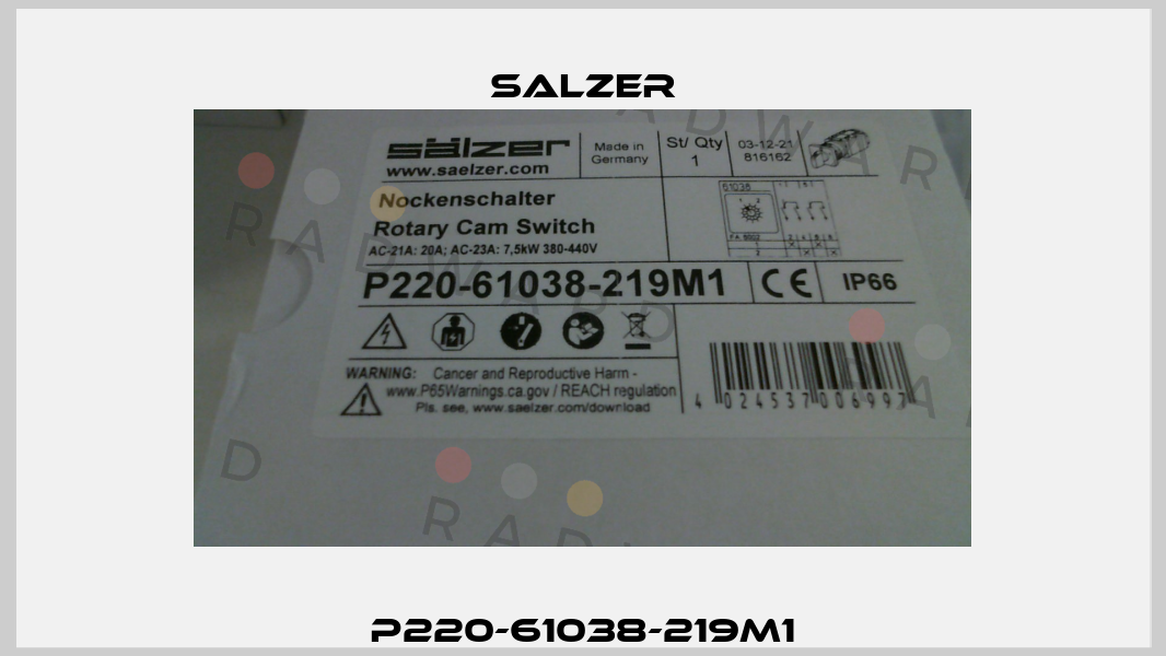 P220-61038-219M1 Salzer