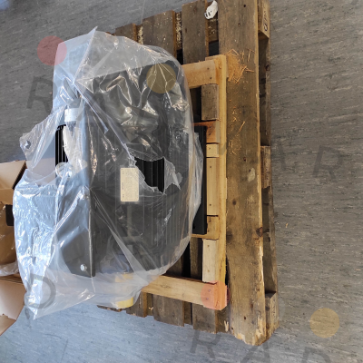 HMC3 200 L1-2  30 KW  IE3 Hoyer Motors