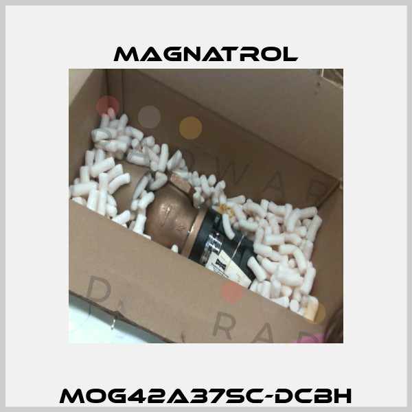 MOG42A37SC-DCBH Magnatrol
