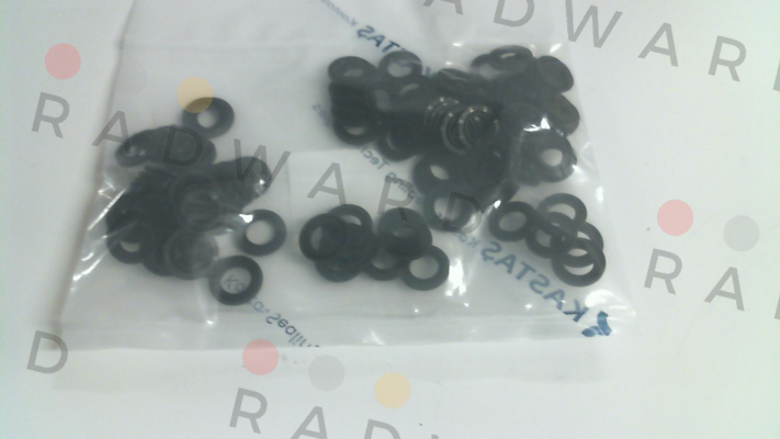 10021914  / K54 20X13X2,5 Kastas Sealing