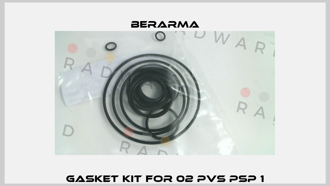 Gasket kit for 02 PVS PSP 1 Berarma