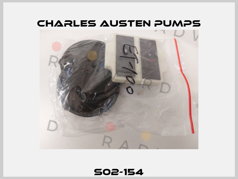 S02-154 Charles Austen Pumps