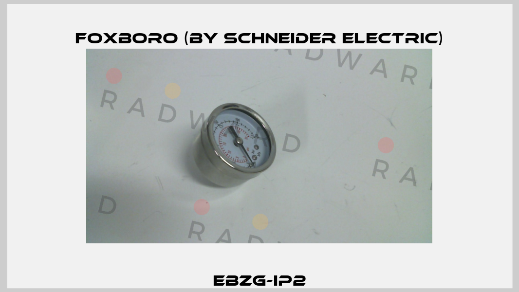 EBZG-IP2 Foxboro (by Schneider Electric)