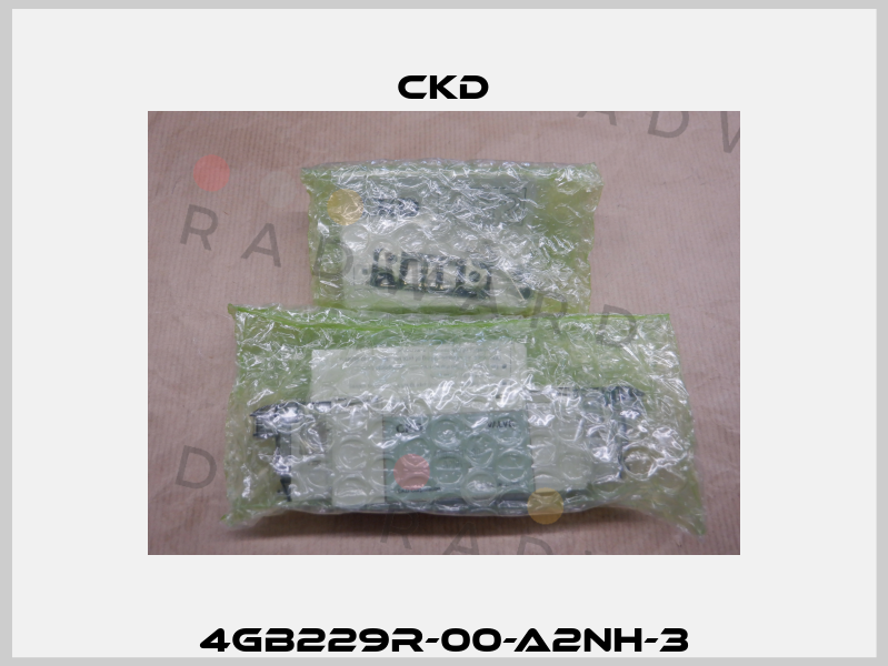 4GB229R-00-A2NH-3 Ckd