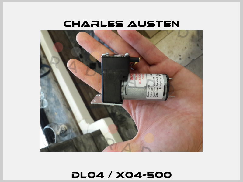 DL04 / X04-500 Charles Austen Pumps