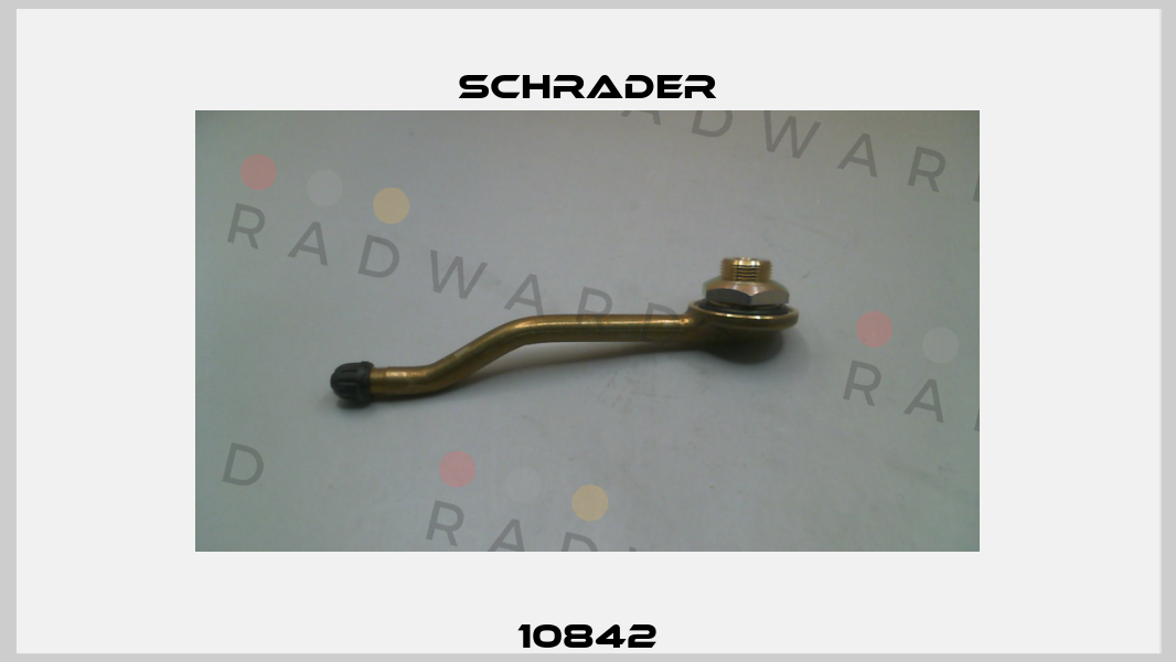 10842 Schrader