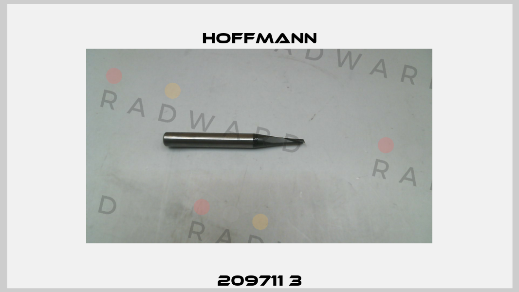 209711 3 Hoffmann