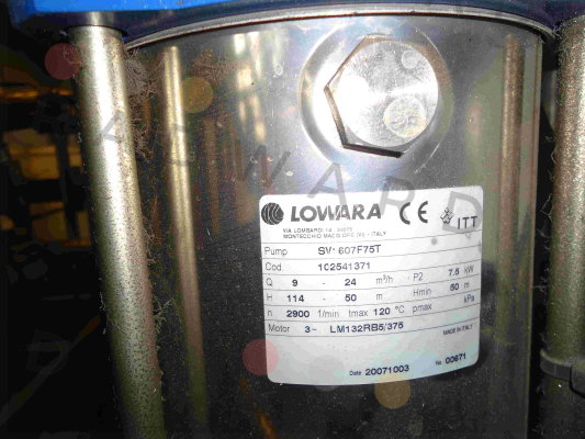 Cylinder for SV-607F75T, Cod:1C2541371  Lowara