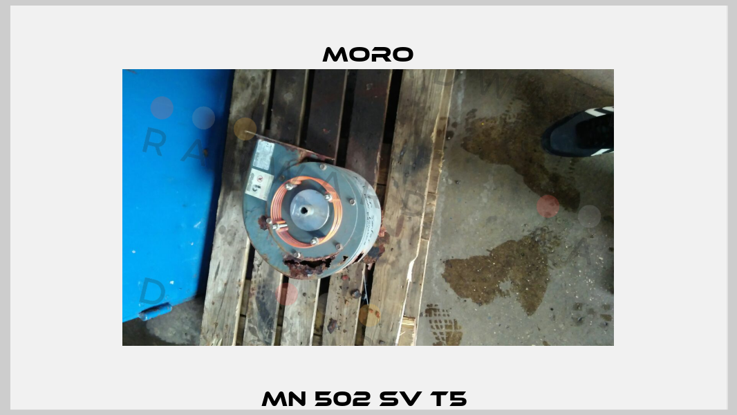 MN 502 SV T5  Moro
