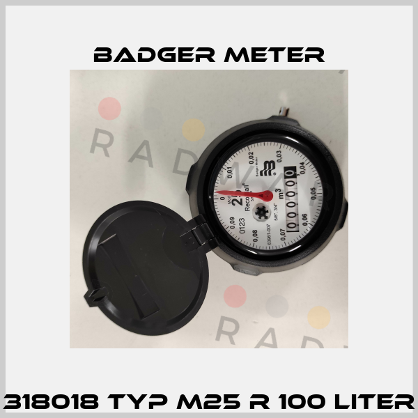 318018 Typ M25 R 100 Liter Badger Meter