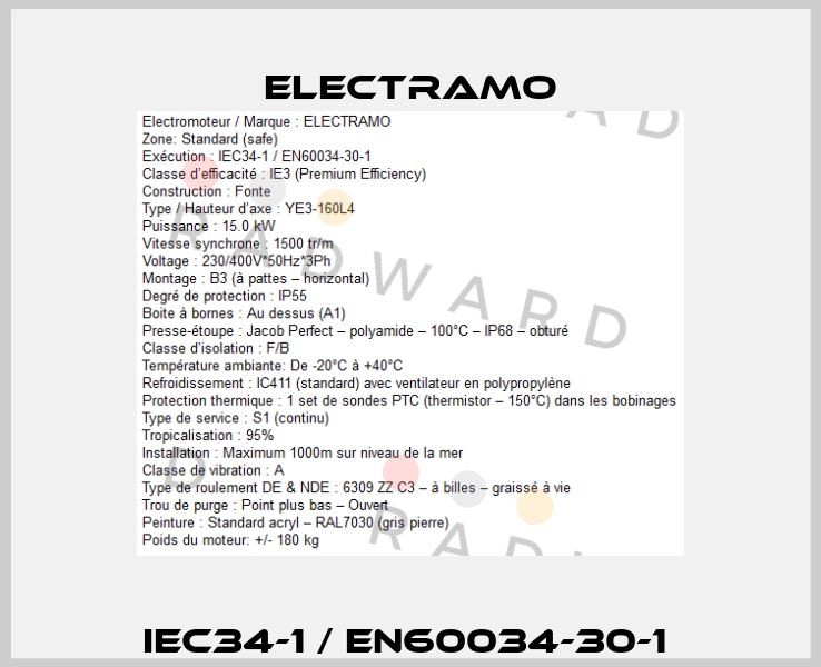 IEC34-1 / EN60034-30-1  Electramo