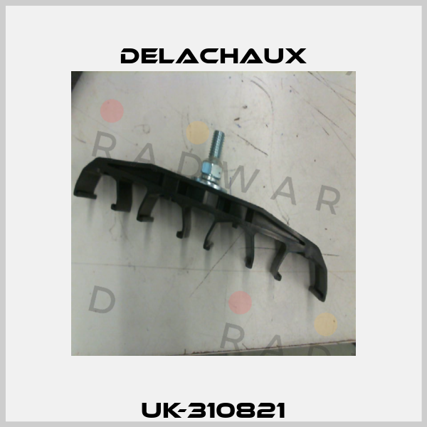 UK-310821 Delachaux