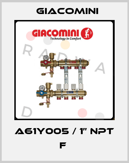 A61Y005 / 1” NPT F  Giacomini