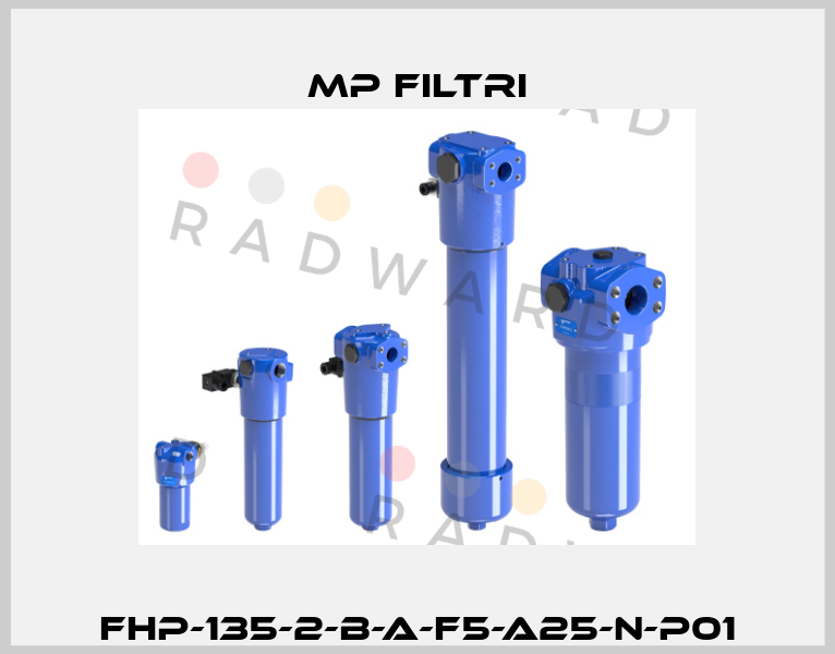FHP-135-2-B-A-F5-A25-N-P01 MP Filtri