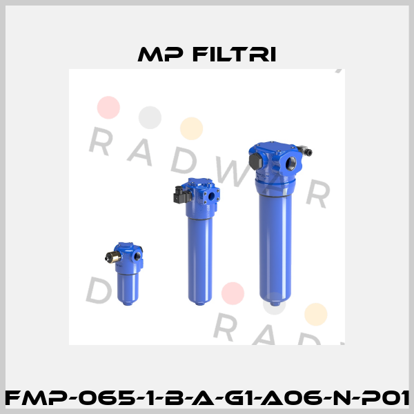 FMP-065-1-B-A-G1-A06-N-P01 MP Filtri