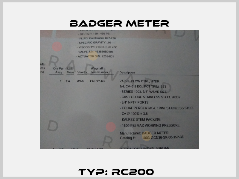 Typ: RC200   Badger Meter