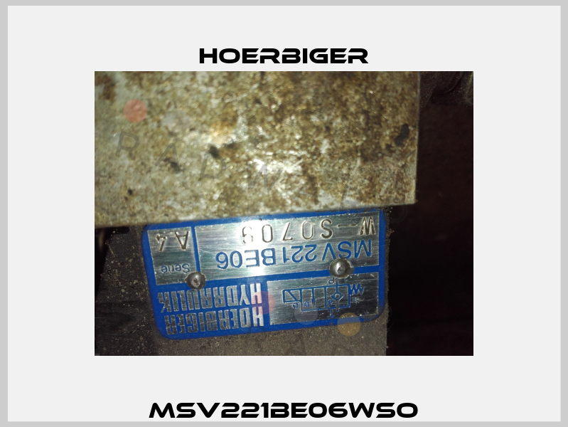 Msv221Be06Wso Hoerbiger