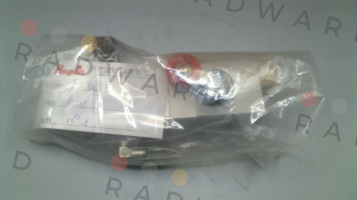 P1202 Pasquin