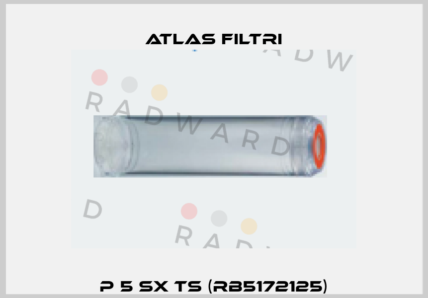 P 5 SX TS (RB5172125) Atlas Filtri