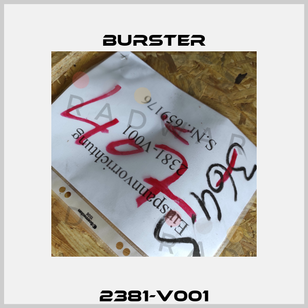 2381-V001 Burster